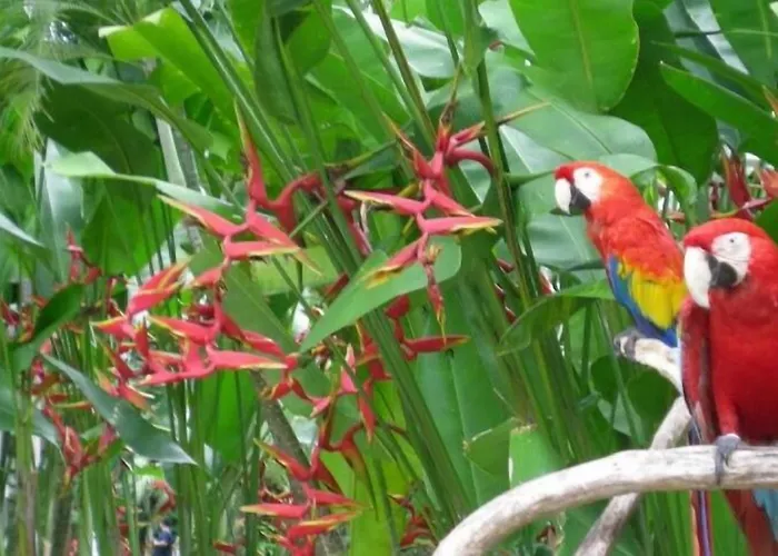 The Bali Purnati Center For The Arts (adults Only) Holiday park Sukawati (Bali)