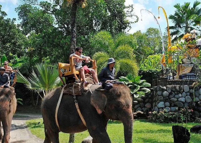 The Bali Purnati Center For The Arts (adults Only) 3* Sukawati (Bali)