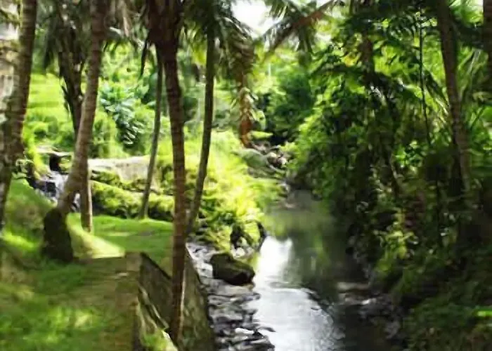 The Bali Purnati Center For The Arts (adults Only) 3*