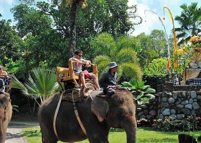 The Bali Purnati Center For The Arts (adults Only) Holiday park 3*